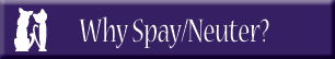 why spay/neuter?