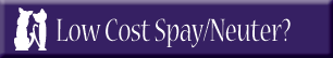 Low Cost Spay/Neuter