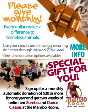 Please Give Monthyl