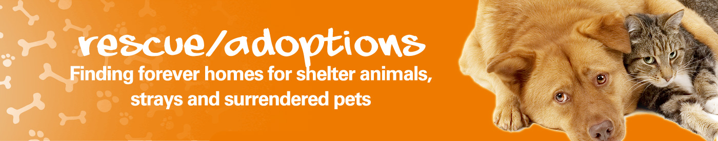 Animal Rescue and Adoptions
